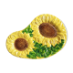 Dish sunflowers dabbling