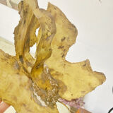 Grape brass wall light