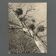 Black and white photo entitled Boules de Guy by Robert Laporte 20th century
