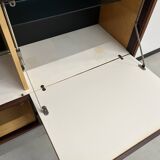 African rosewood drink cabinet, circa 1950