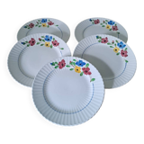 5 assiettes à dessert