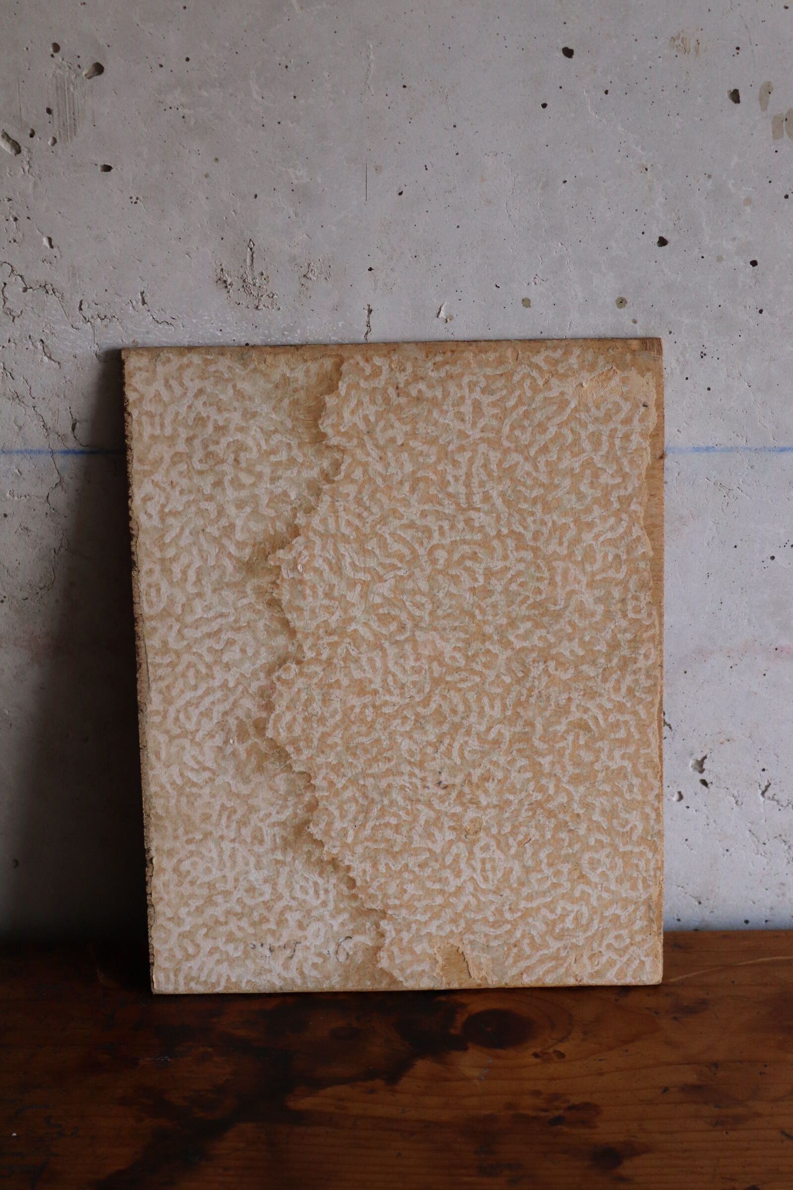 Bergère oil on panel Jean legros