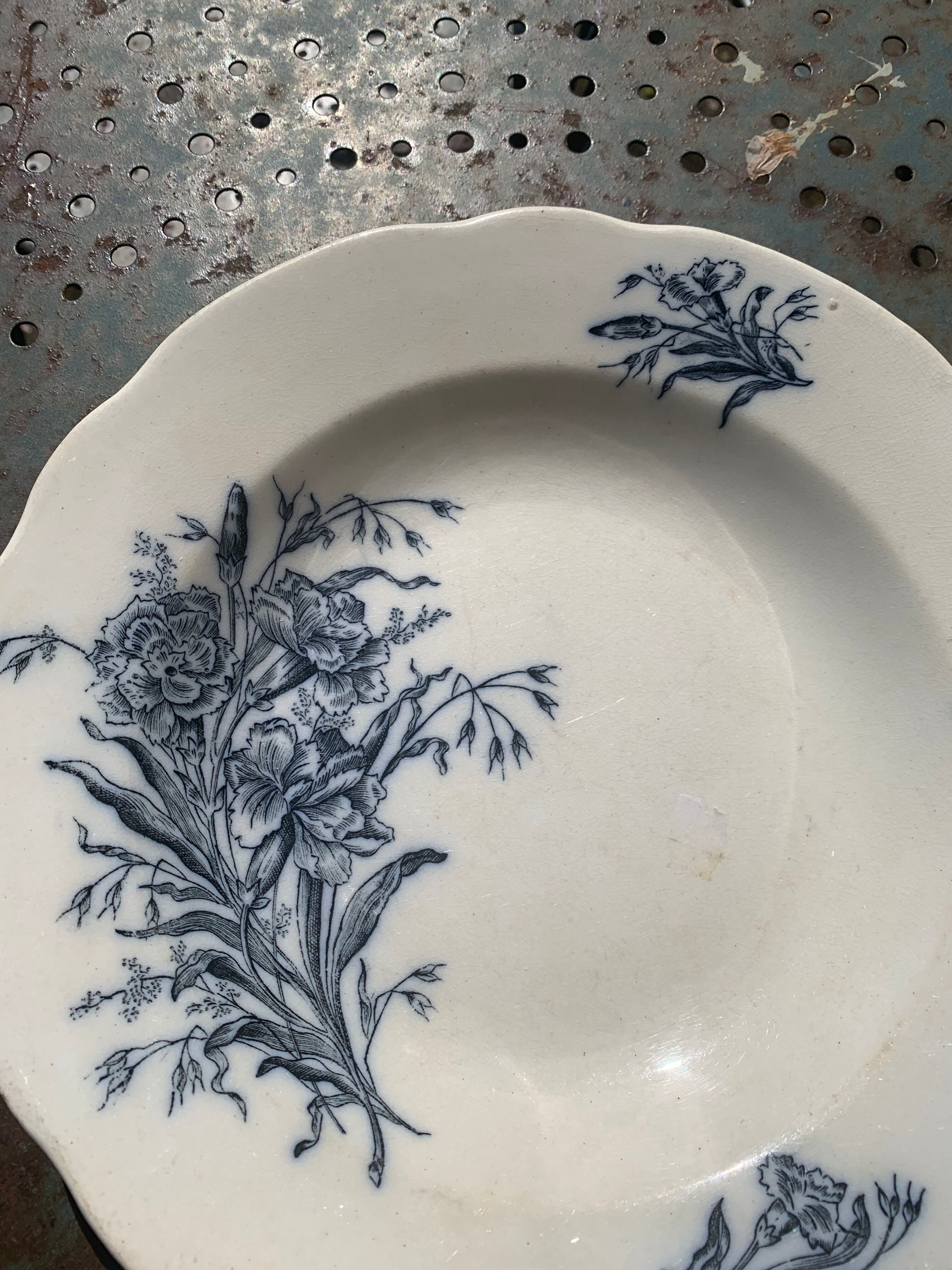 Hollow plate, fruit cup pattern carnations badonviller