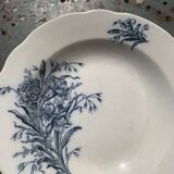 Hollow plate, fruit cup pattern carnations badonviller