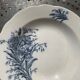 Hollow plate, fruit cup pattern carnations badonviller