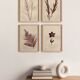 Collection de peintures herbiers sur papier signées Eawy