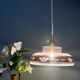 Vintage frosted glass pendant lampshade with gold frieze