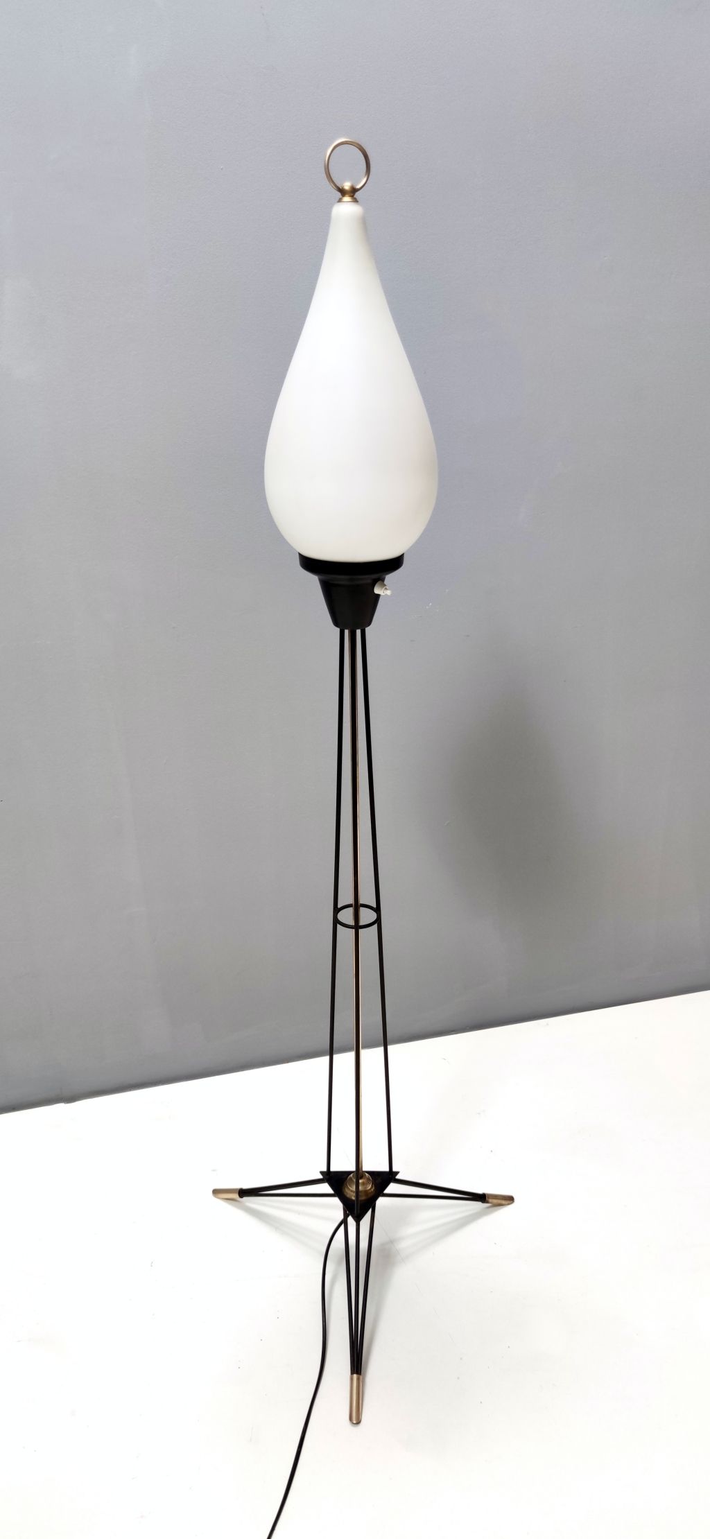 Midcentury Opaline Glass and Iron Floor Lamp by Stilnovo, Italy