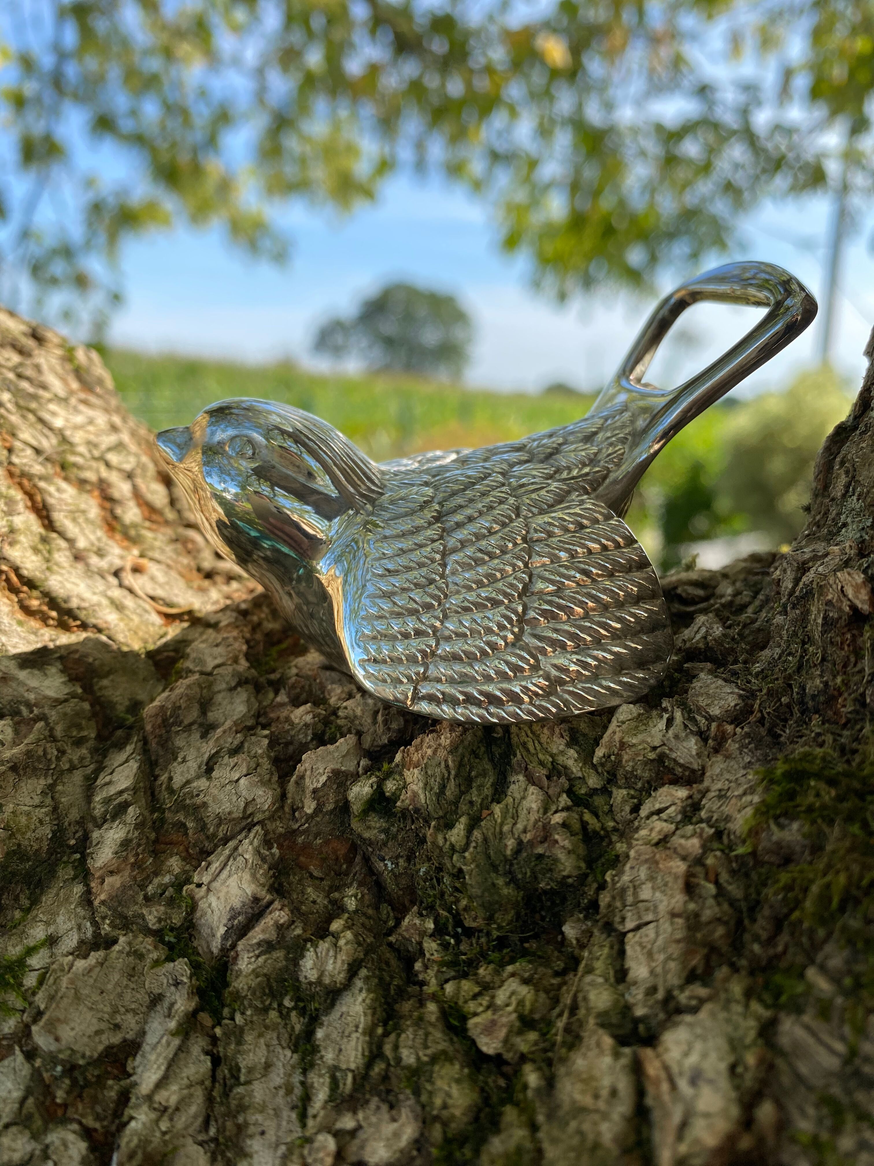 Open bottle bottle opener bird