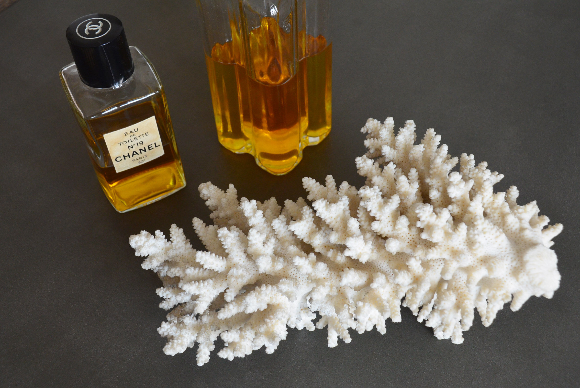 Coral vintage 70s branch