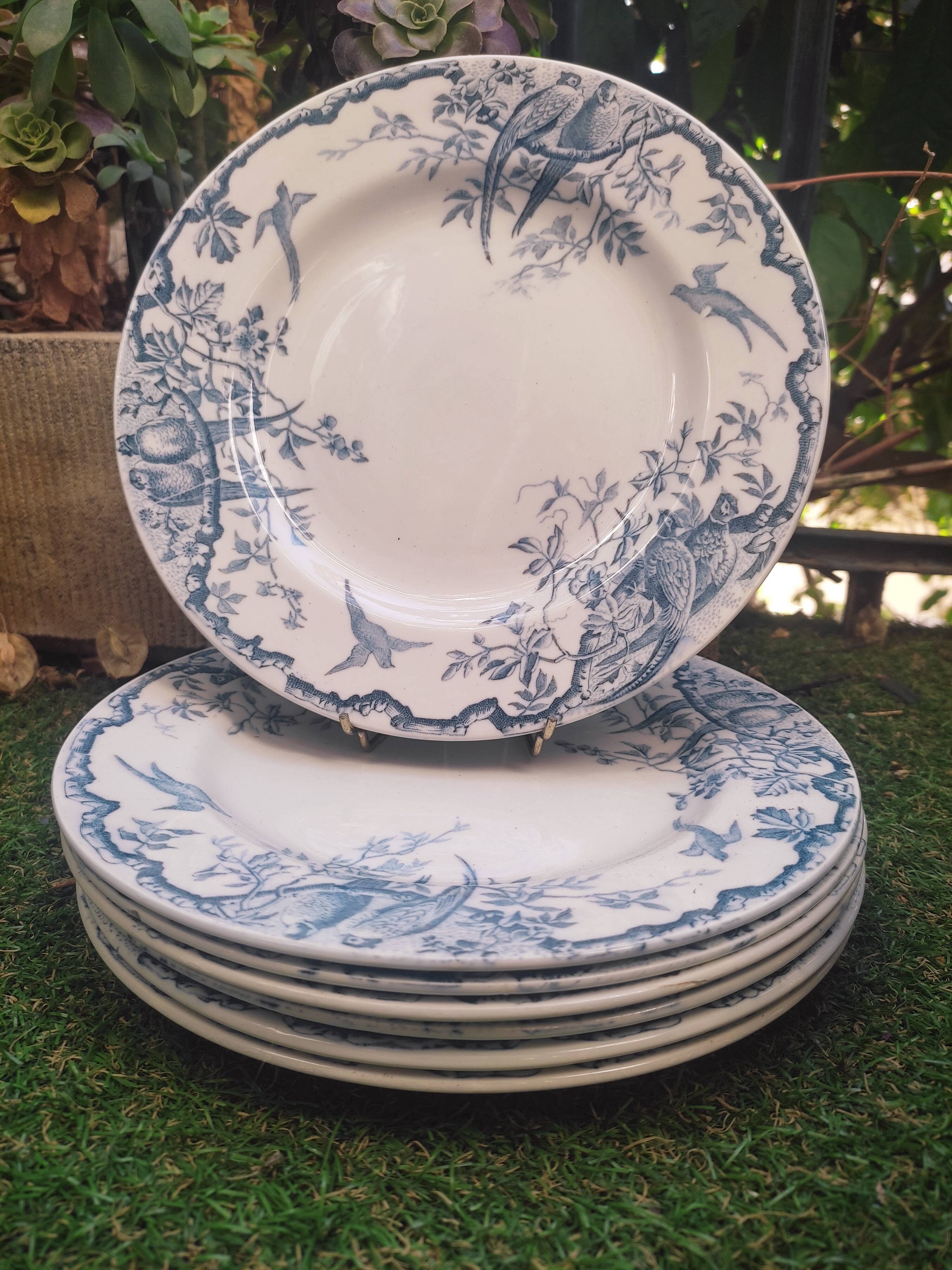 7 plates in earthenware with bird motifs by Lunéville