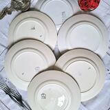 Mismatched antique flat plates in earthenware