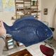 Shallow ceramic fish dish