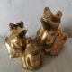 Brass frogs