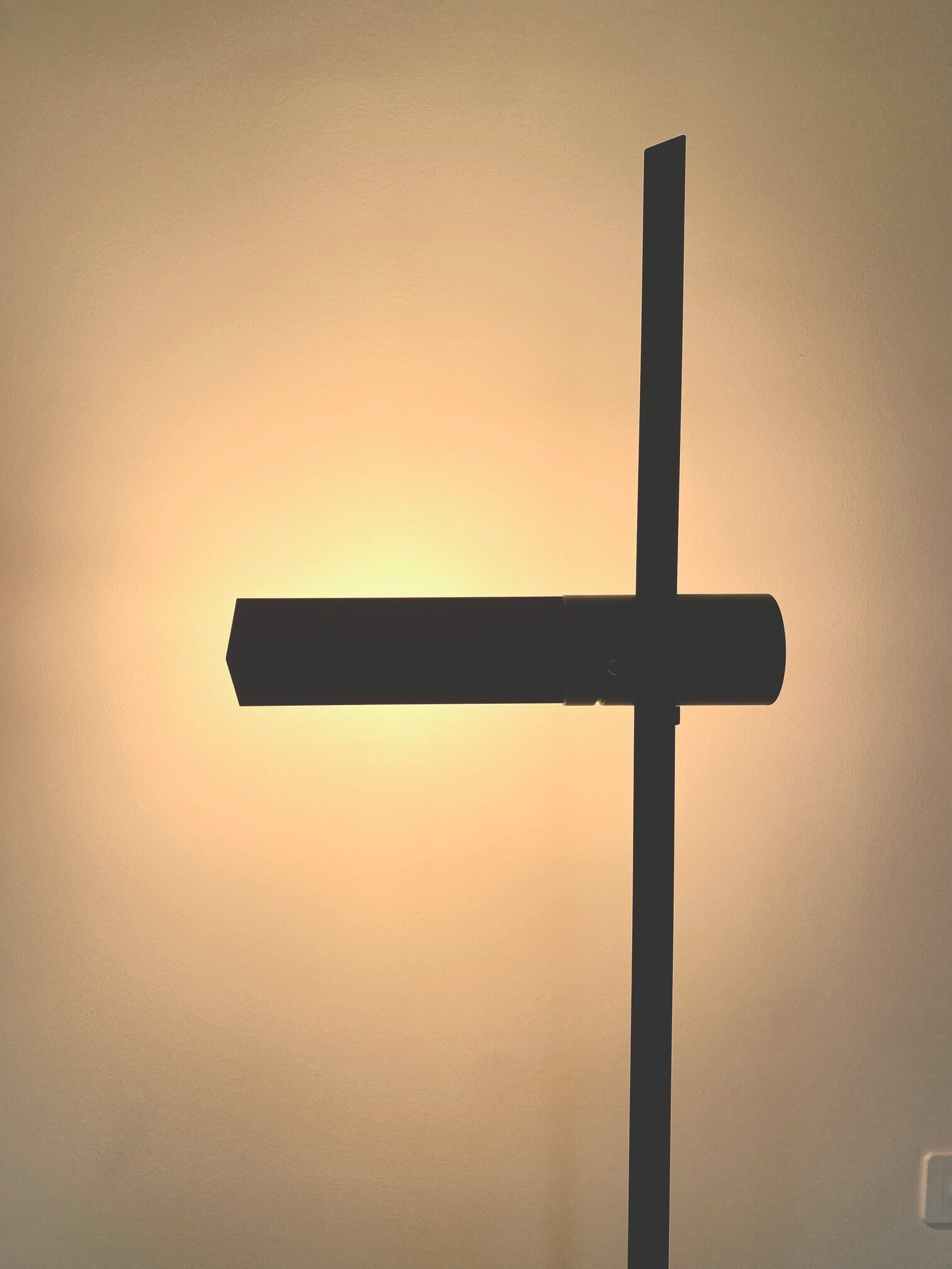 Lampadaire Caltha par Gianfranco Frattini, Luci, Italie, 1981