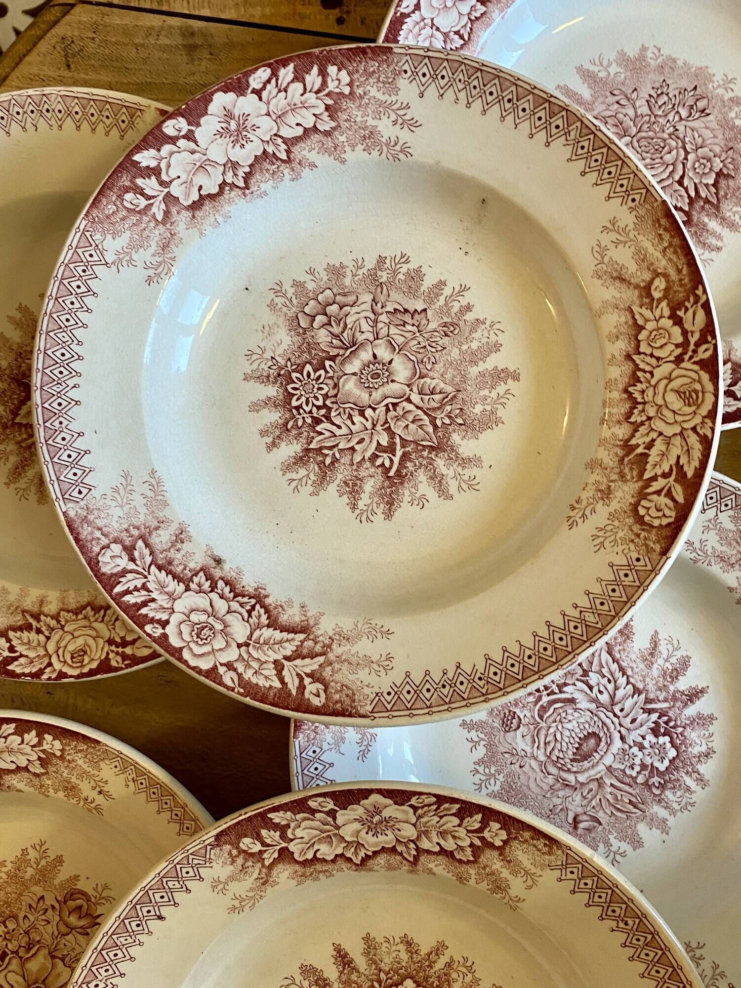 Set of 9 old ironstone hollow plates - Jardinière de Saint Amand