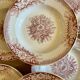 Set of 9 old ironstone hollow plates - Jardinière de Saint Amand