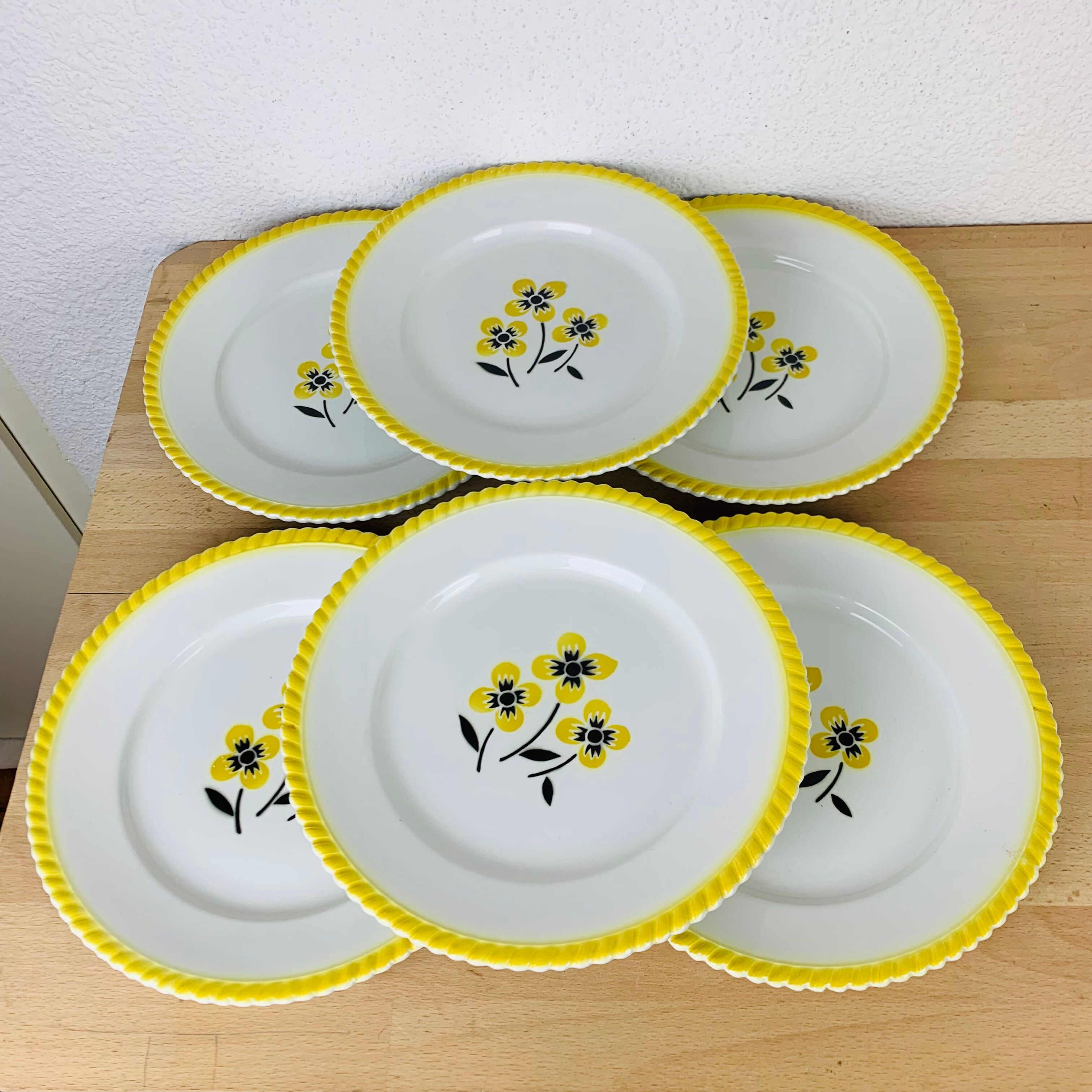 Set of 6 vintage earthenware dinner plates.