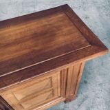 Brutalist Handcrafted Oak 2 Door Cabinet, Belgium, 1950s