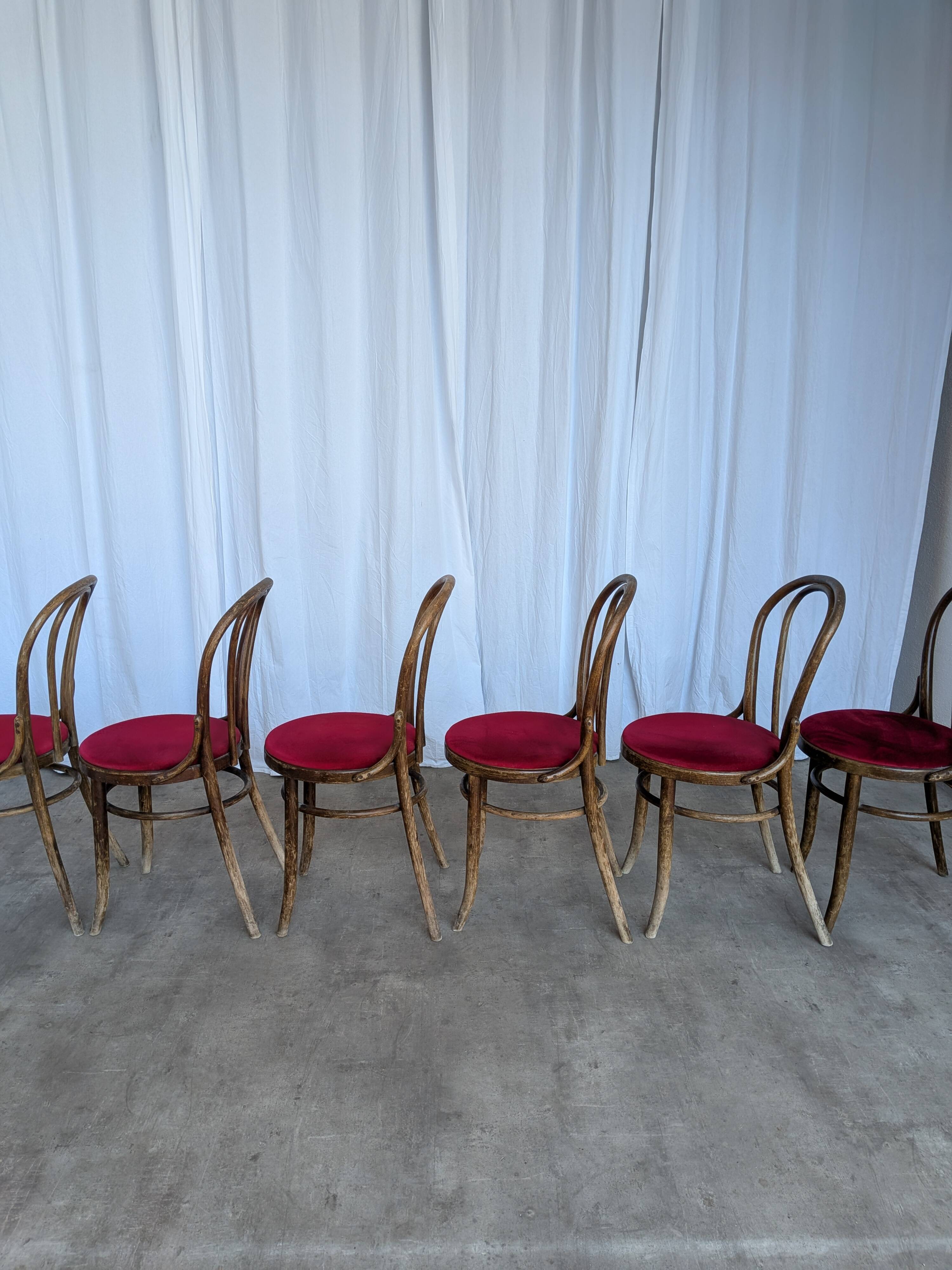Set of 6 Vintage Bentwood Dining Chairs Set: 1970s , Red Uphols