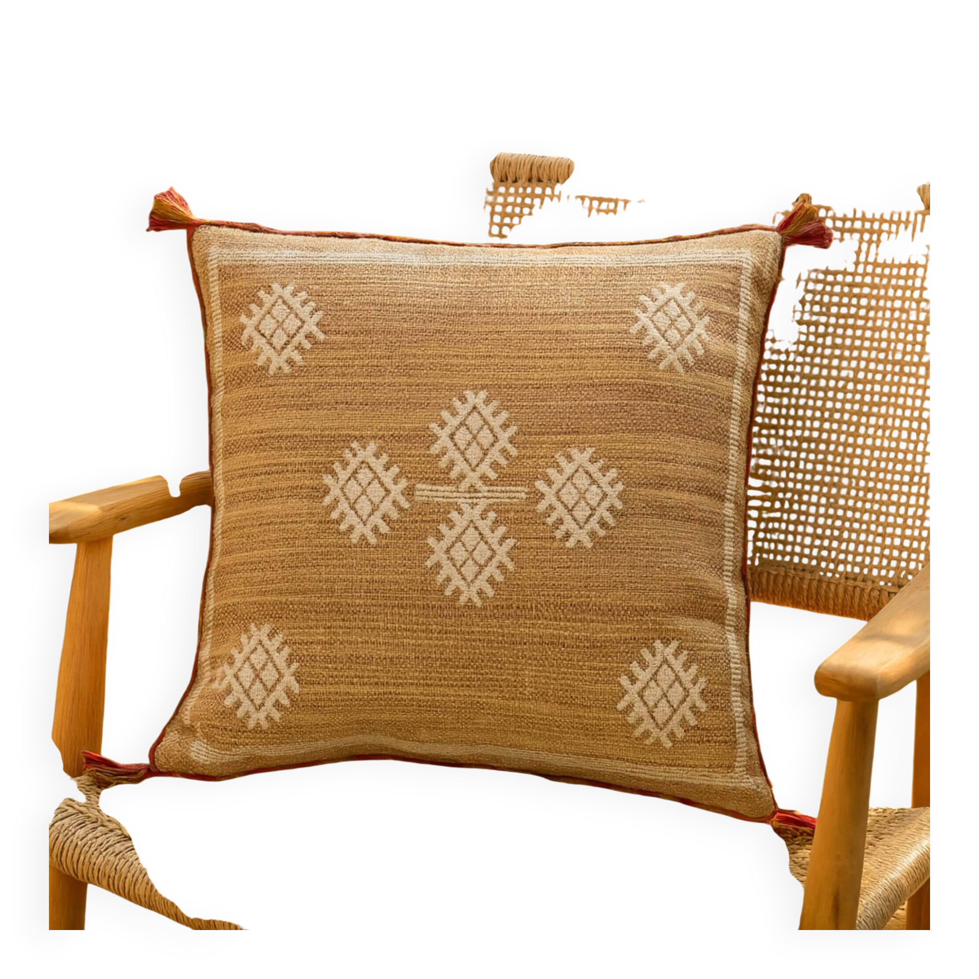 Moksha cushion cover