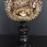 Naturalized fish diodon holocanthus on base