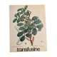 Affiche botanique Le Caroubier