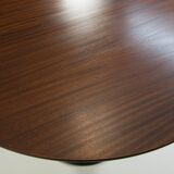 Mid-Century Pedestal Table by Dřevotvar Jablonné, 1960s, Restored