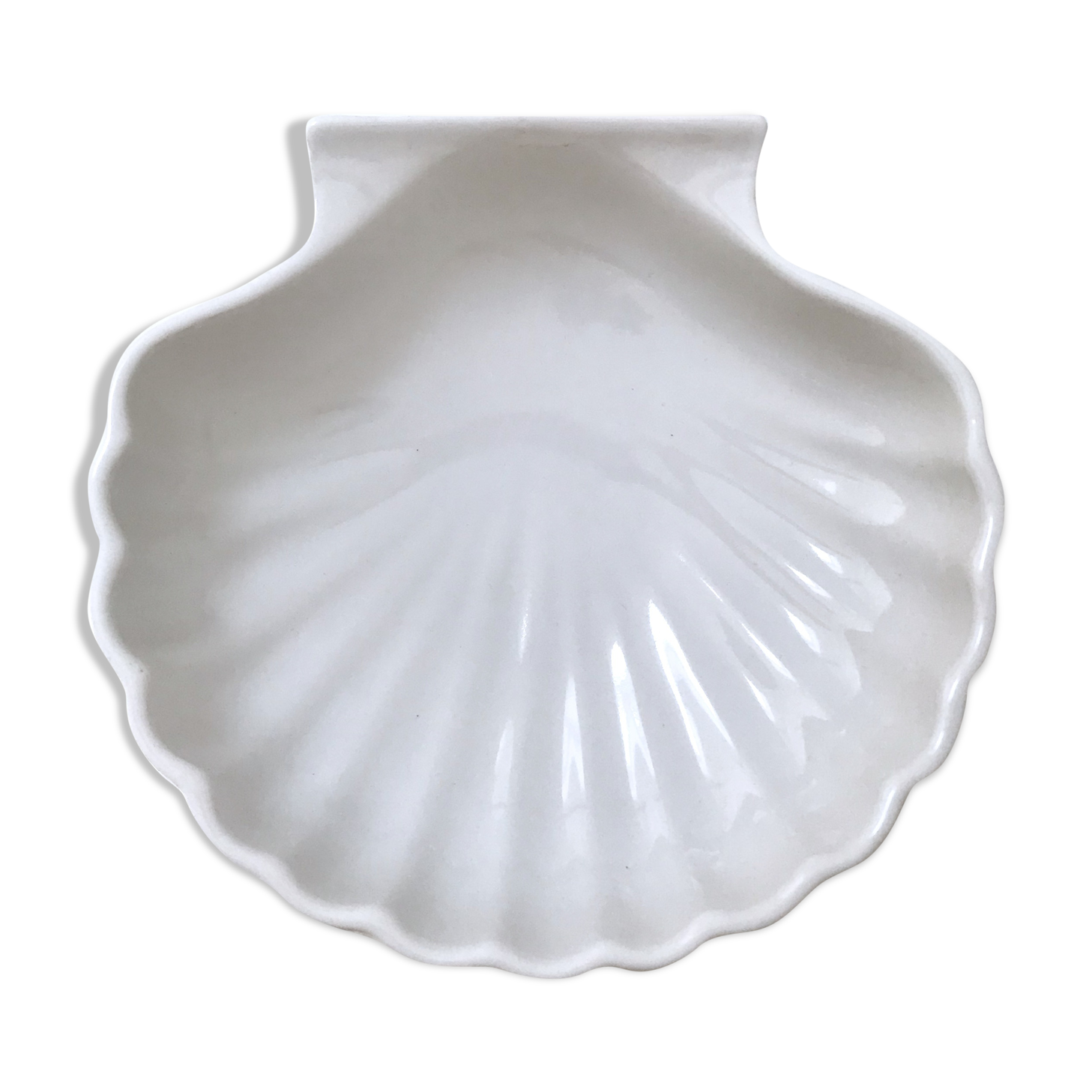 Shell ceramics