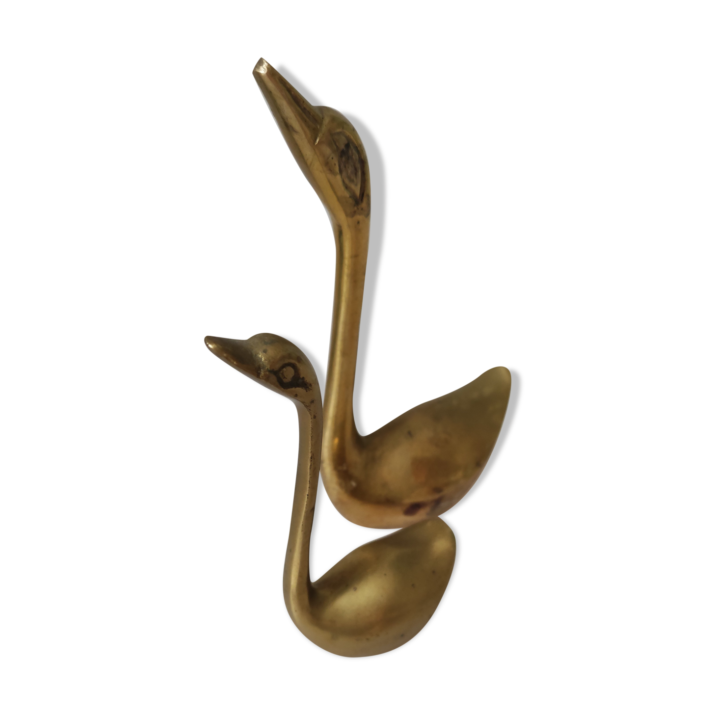 Golden brass swan duo