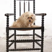 Black bobbin chair with armrests and rush seat – ca. 1900-1930