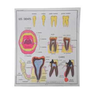 Ancienne affiche Rossignol sciences,