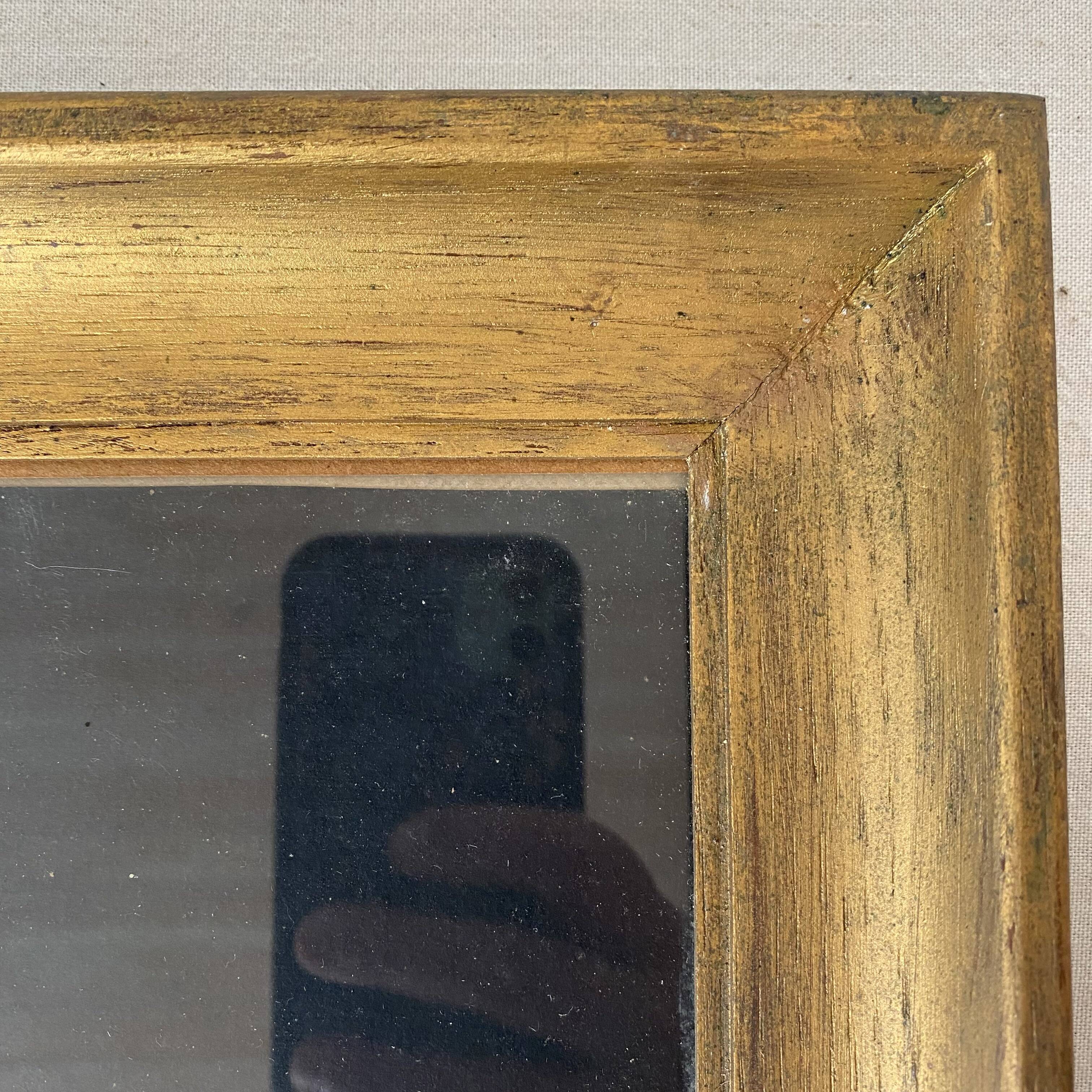 Framed pastel English Springer Spaniel dog