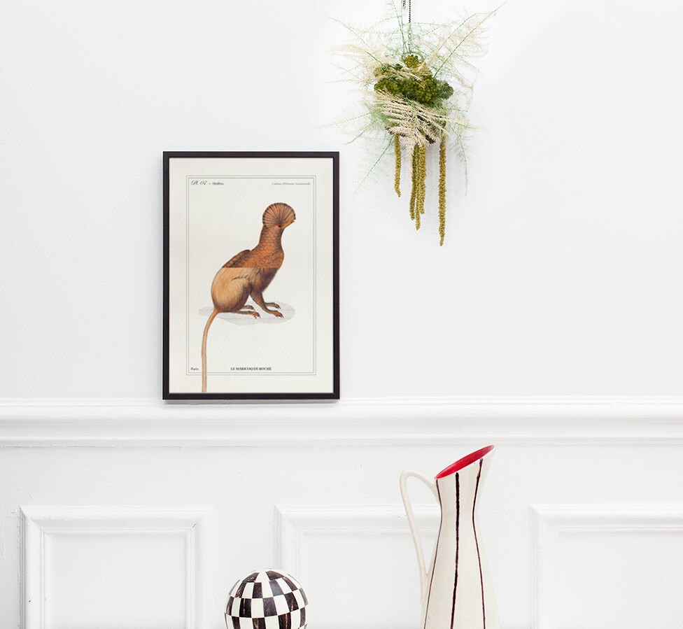 Chimera lithograph engraving animal - the maricoq