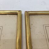 Pair of flower engravings by P.J. Redouté