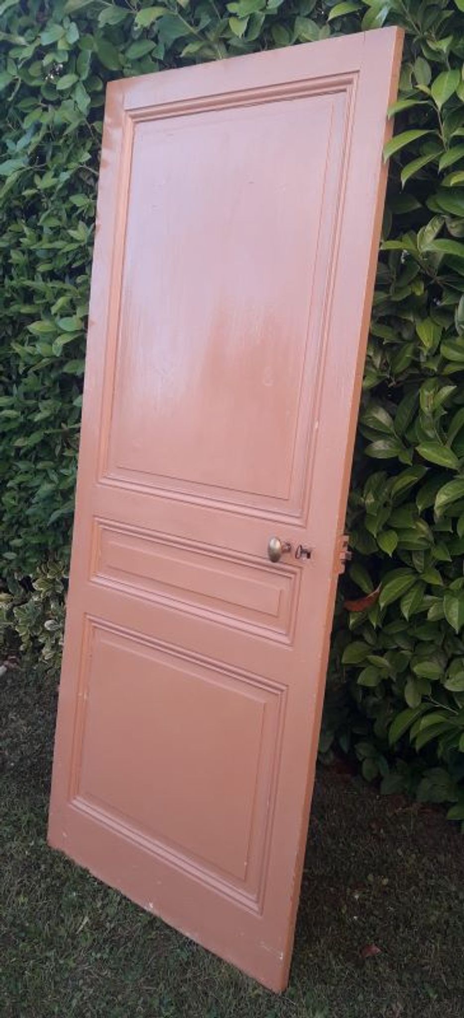 Porte 199x82,8cm ancienne moulurée