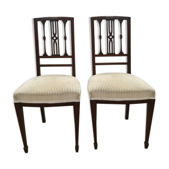Pair of English chairs in beige velvet