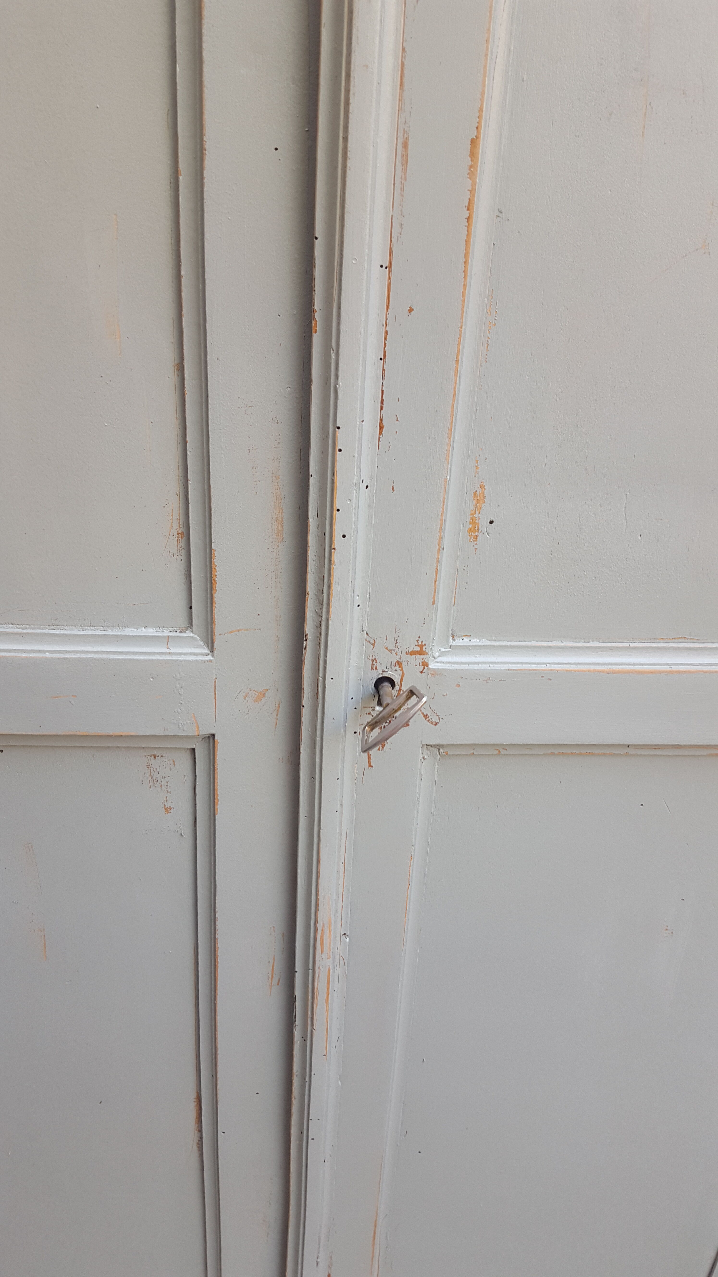 Paris wardrobe patina green guarigue