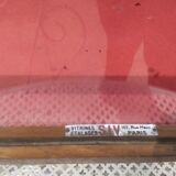 Trade furniture - display case