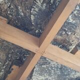 Sedim herbarium coffee table