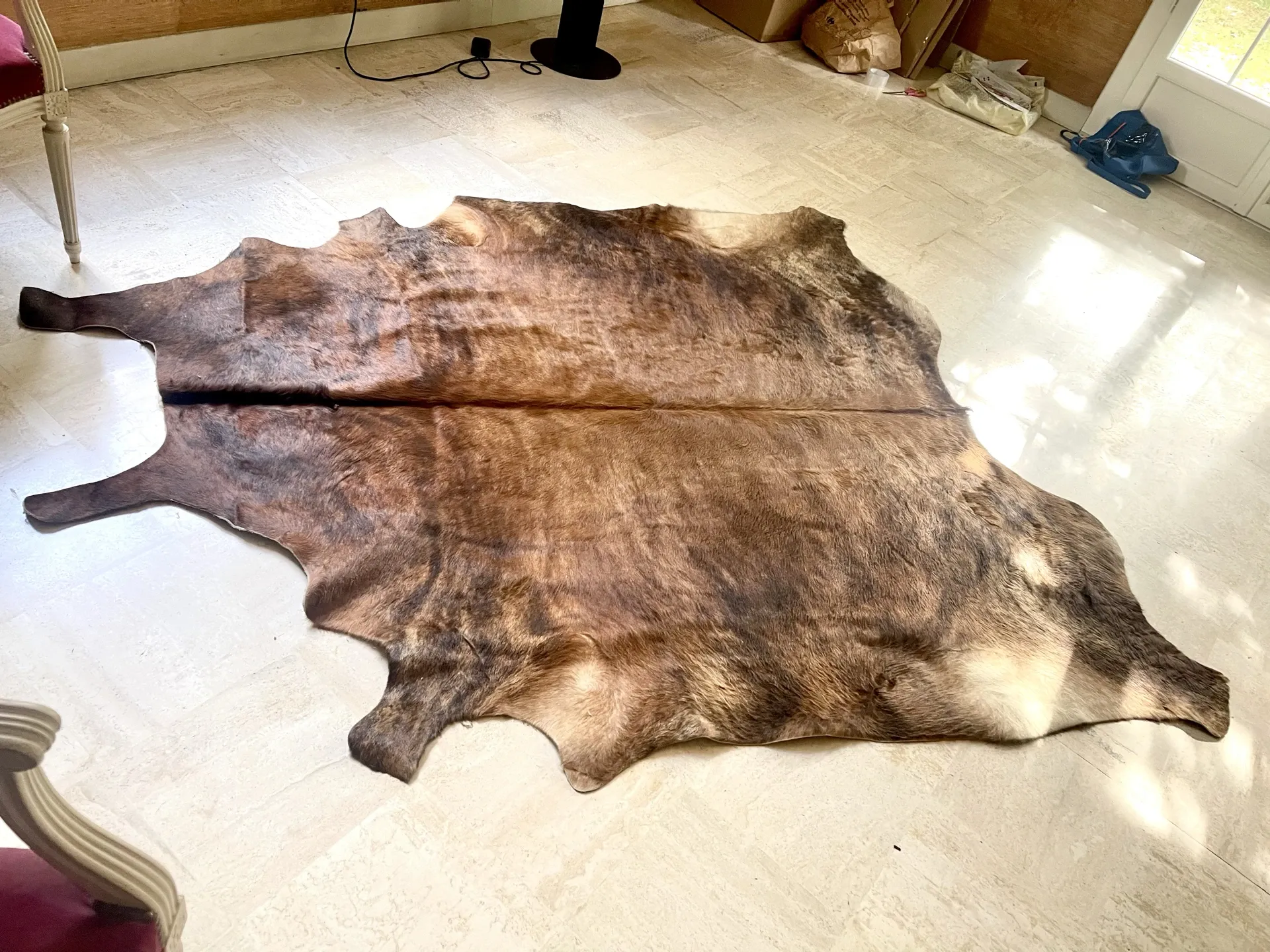 Texas cowhide rug, 1970
