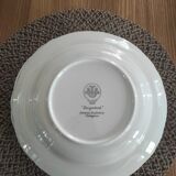 Villeroy and Boch hollow plates