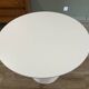 Tulip table