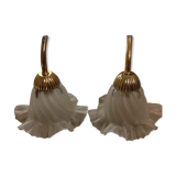 Duo of lampshade, art deco tulip globe
