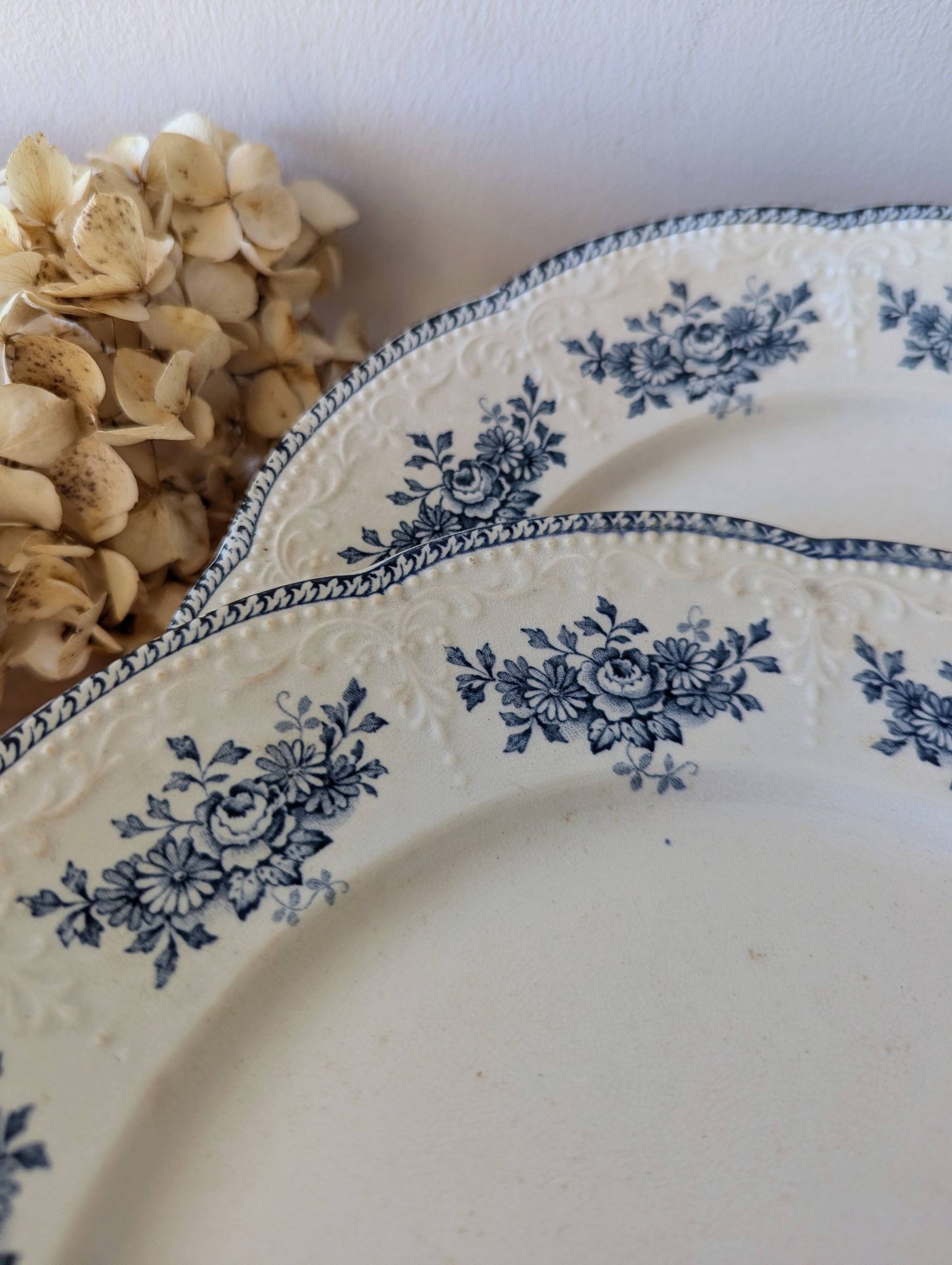 Lot of 10 old Badonviller Richelieu ironstone plates