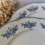 Lot of 10 old Badonviller Richelieu ironstone plates