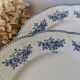 Lot of 10 old Badonviller Richelieu ironstone plates