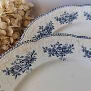 Lot of 10 old Badonviller Richelieu ironstone plates