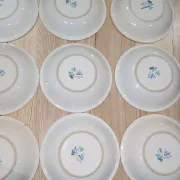 Lot 9 Deep Plates Porcelain Japan ARA S 933 Parrot & F Decor