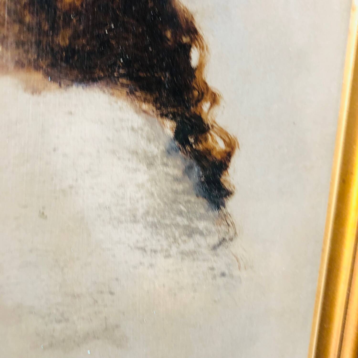 Portrait de jeune flamande